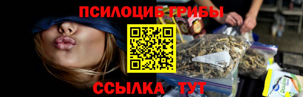 Батайск  Галлюциногенные грибы MAGIC MUSHROOMS  купить закладку  Вход с VPN 